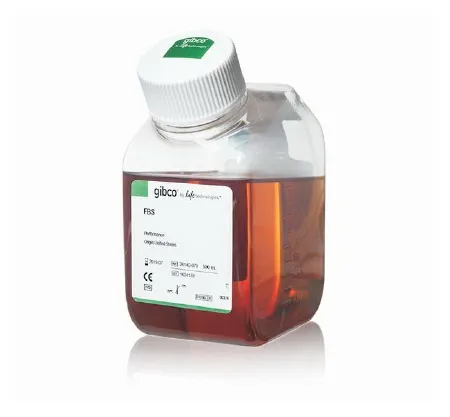 Fisher Scientific - Gibco - 26140079 - Culture Media Gibco Fetal Bovine Serum Beige Liquid