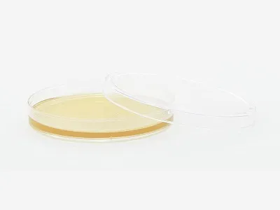 Hardy Diagnostics - W41 - Prepared Media Tryptic Soy Agar (tsa) With Lecithin And Tween® Deep Fill Plate Format