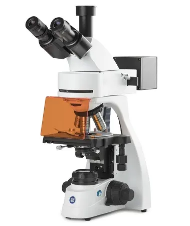 Globe Scientific - bScope - EBS-3153-PLFI - Bscope Compound Microscope Siedentopf Type Trinocular Head Plan Fluarex Plfi 4x, 10x, 20x, S40x, S100x 100 To 240vac Mechanical Stage, With Rackless Xy Stage