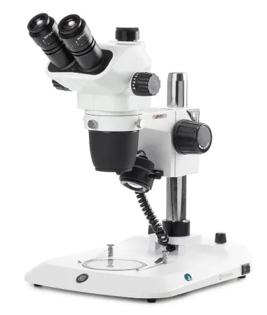 Globe Scientific - Nexius Zoom EVO - ENZ-1703-P - Nexius Zoom Evo Stereo Microscope Trinocular Head Plan Achromatic 0.65x To 5.5x Zoom With Clip Stops 120 To 240vac Plain Stage With Clips And Clear Plates