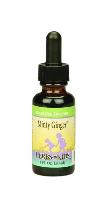 Herbs For Kids - 1260850 - Minty Ginger