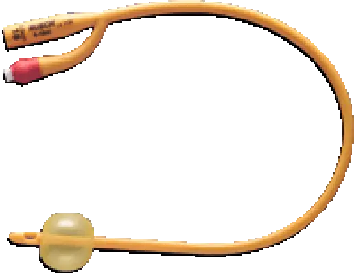 Teleflex - Rusch Gold - 180705160 - Gold 2 Way Silicone Coated Foley Catheter 16 Fr 5 Cc