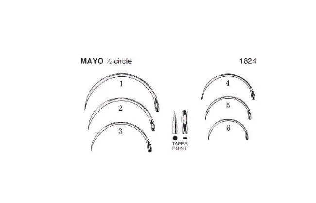 Anchor Products - 1824-2DC - Taper Point Suture Needle Anchor Mayo Catgut Type Size 2 Needle Single Use
