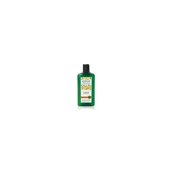 Andalou Naturals - From: 225572 To: 225577 - Hair Care Moisture Rich Argan Oil & Shea Shampoo Shampoos & Conditioners
