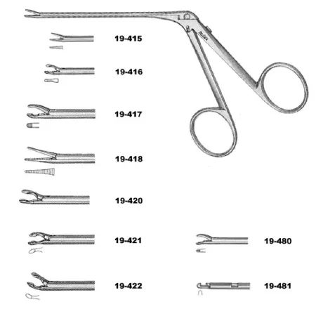 Integra Lifesciences - Miltex - 19-415 - Miniature Ear Forceps Miltex House 2-3/4 Inch Length Or Grade German Stainless Steel Nonsterile Nonlocking Finger Ring Handle Straight 4 Mm Extra Delicate Serrated Jaws