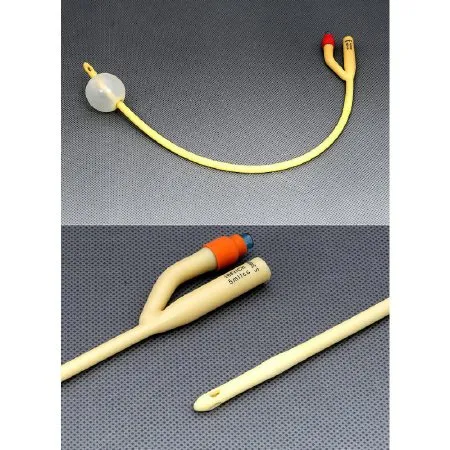 Amsino International - Amsure - As41024 - Foley Catheter Amsure 2-Way Standard Tip 5 Cc Balloon 24 Fr. Silicone Coated Latex