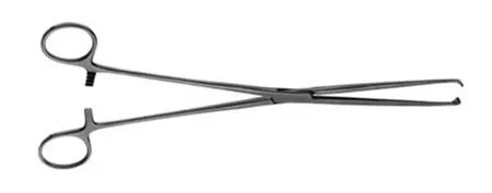 V. Mueller - CH1560 - Tissue Forceps Allis 10 Inch Length Surgical Grade Stainless Steel NonSterile Ratchet Lock Finger Ring Handle Straight 5 X 6 Teeth