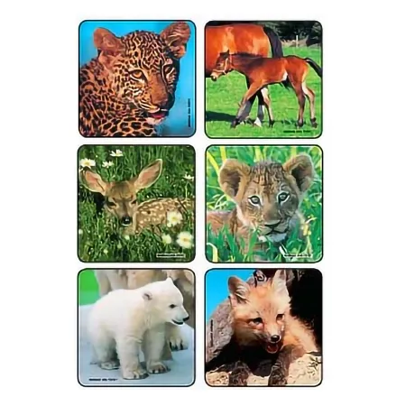 Medibadge - Kids Love Stickers - 2001P - Kids Love Stickers 90 per Pack Baby Animal Photos  Assorted Sticker 2-1/2 Inch