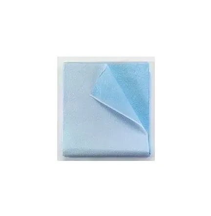 TIDI Products - Tidi Everyday - 918372 - Stretcher Sheet Tidi Everyday Flat Sheet 40 X 72 Inch Blue Tissue / Poly Disposable