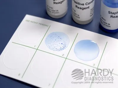 Hardy Diagnostics - StaphTEX Blue - ST50 - Other Infectious Disease Test Kit StaphTEX Blue Staphylococcus Aureus 50 Tests CLIA Non-Waived