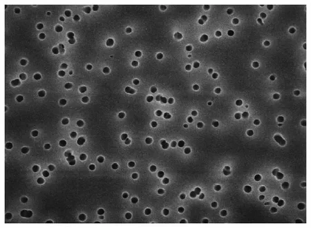 Fisher Scientific - TMTP02500 - Membrane Filter