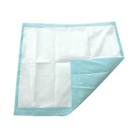 Secure Personal Care Products - TotalDry - SP113062 - Disposable Underpad TotalDry 30 X 30 Inch SecureLoc Light Absorbency