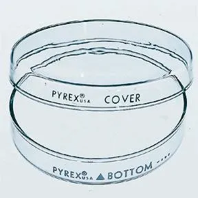 Fisher Scientific - Corning Pyrex - 08747A - Petri Dish Corning Pyrex Glass
