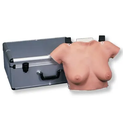 American 3B Scientific - From: L50 To: L51 - Model for breast selfpalpation with case