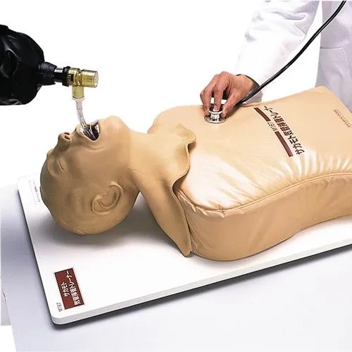 American 3B Scientific - W30508 - Endotracheal Intubation Sim.