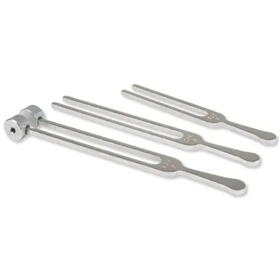 American 3B Scientific - From: W54060 To: W54062 - Student grade tuning fork with weight (128 cps)