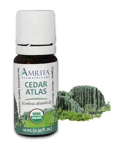 Amrita Aromatherapy - EO3211-240ml - Essential Oils - Cedar, Atlas - 240ml