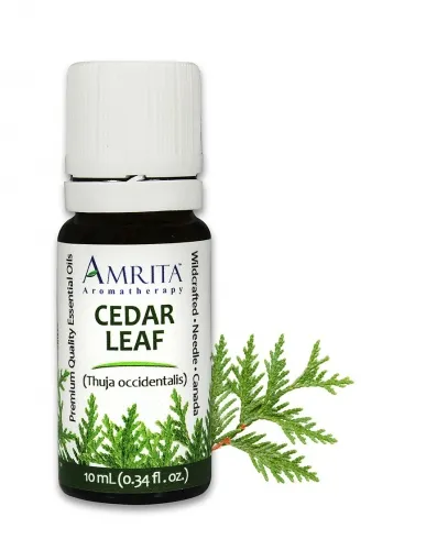 Amrita Aromatherapy - EO3276 - 10ml Essential Oils Cedar Leaf 10ml