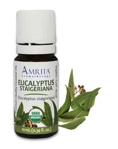 Amrita Aromatherapy - EO3441-240ml - Essential Oils - Eucalyptus Staigeriana