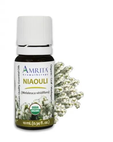 Amrita Aromatherapy - EO4351 - 10ml Essential Oils Niaouli 10ml