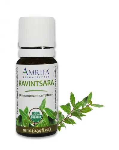 Amrita Aromatherapy - EO4601 - 10ml Essential Oils Ravintsara 10ml