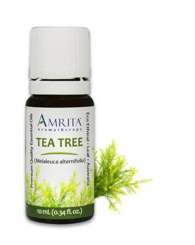 Amrita Aromatherapy - EO4912 - 10ml Essential Oils Tea Tree 10ml