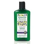 Andalou Naturals From: 225572 To: 225577 - Hair Care Full Volume Lavender & Biotin Shampoo Shampoos Conditioners  Healthy Shine