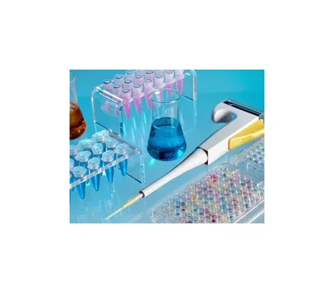 Pointe Scientific - B7552625 - Reagent Renal / General Chemistry Blood Urea Nitrogen (BUN) R1: 1 X 500 mL  R2: 1 X 125 mL