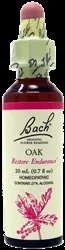 Bach - BFR-0022 - Oak