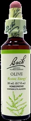 Bach - BFR-0023 - Olive