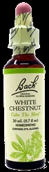 Bach - BFR-0035 - White Chestnut