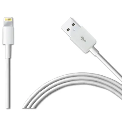 Bytech - BTHCLLPCA002WT - Apple Lightning Cable, 10 Ft, White