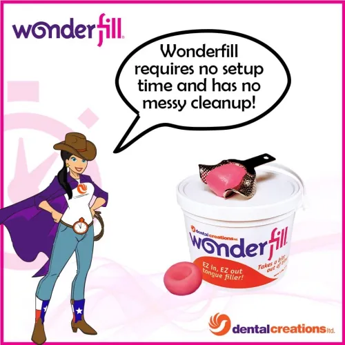 Dental Creations - 344 - Wonderfill - 1.13 kg container