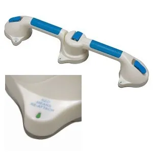 Briggs From: 521-1560-1924 To: 521-1562-1916 - Dual Grip Suction Cup Grab Bar EA W/Bactix Chrome Color 16 Healthsmart W/Bactix