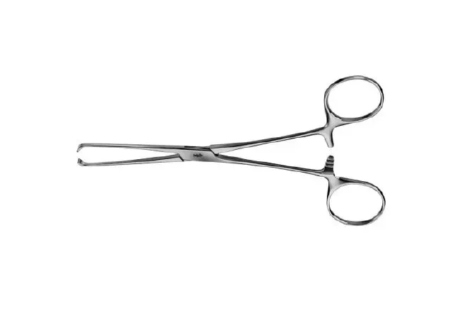 BR Surgical - FG64-11015 - Tissue Forceps BR Surgical Allis 6 Inch Length Floor Grade Stainless Steel 4 X 5 Teeth