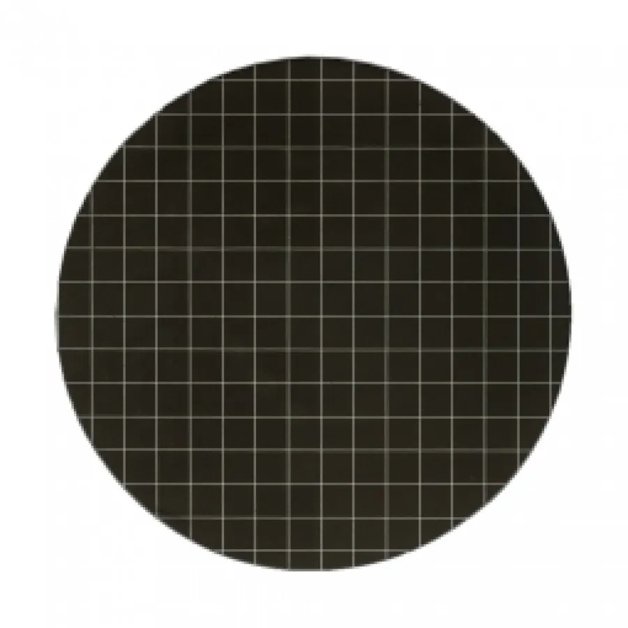 GE Healthcare - From: 10409770 To: 10409771 - Ge Healthcare Filter Circles, 47mm Dia, Mixed Cellulose Ester ME Range ME 25/31, Gridded, Black/ White Grid 3.1mm, 0.45&mu;m Pore Size, Sterile, 100/pk