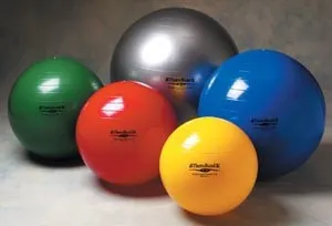 Hygenic - 23110 - Standard Exercise Ball