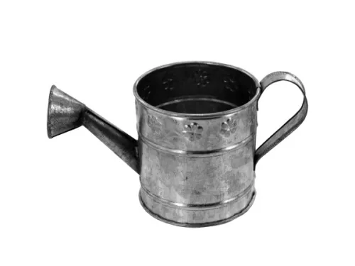 Kole Imports - Gc817 - Galvanized Watering Can