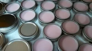Mooseberry Soap - MSC-365LIPBALMBX - Vegan Lip Balms In Tins