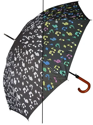 Rain Stoppers - S013music - Auto, Color Changing W/hook Pick Print