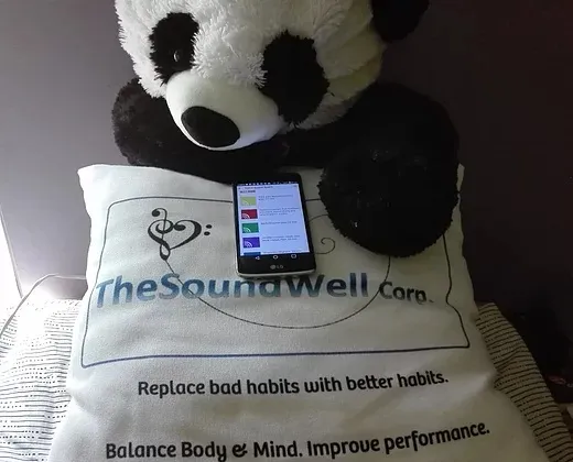 TheSoundWell - TSWLPET000 - Panda Daisy