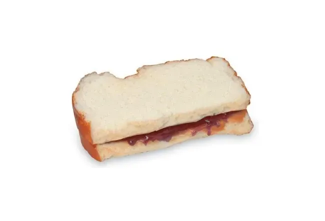 Nasco - Life/Form - WA24916 - Sandwich Food Replica - Peanut Buter and Jelly Life/form
